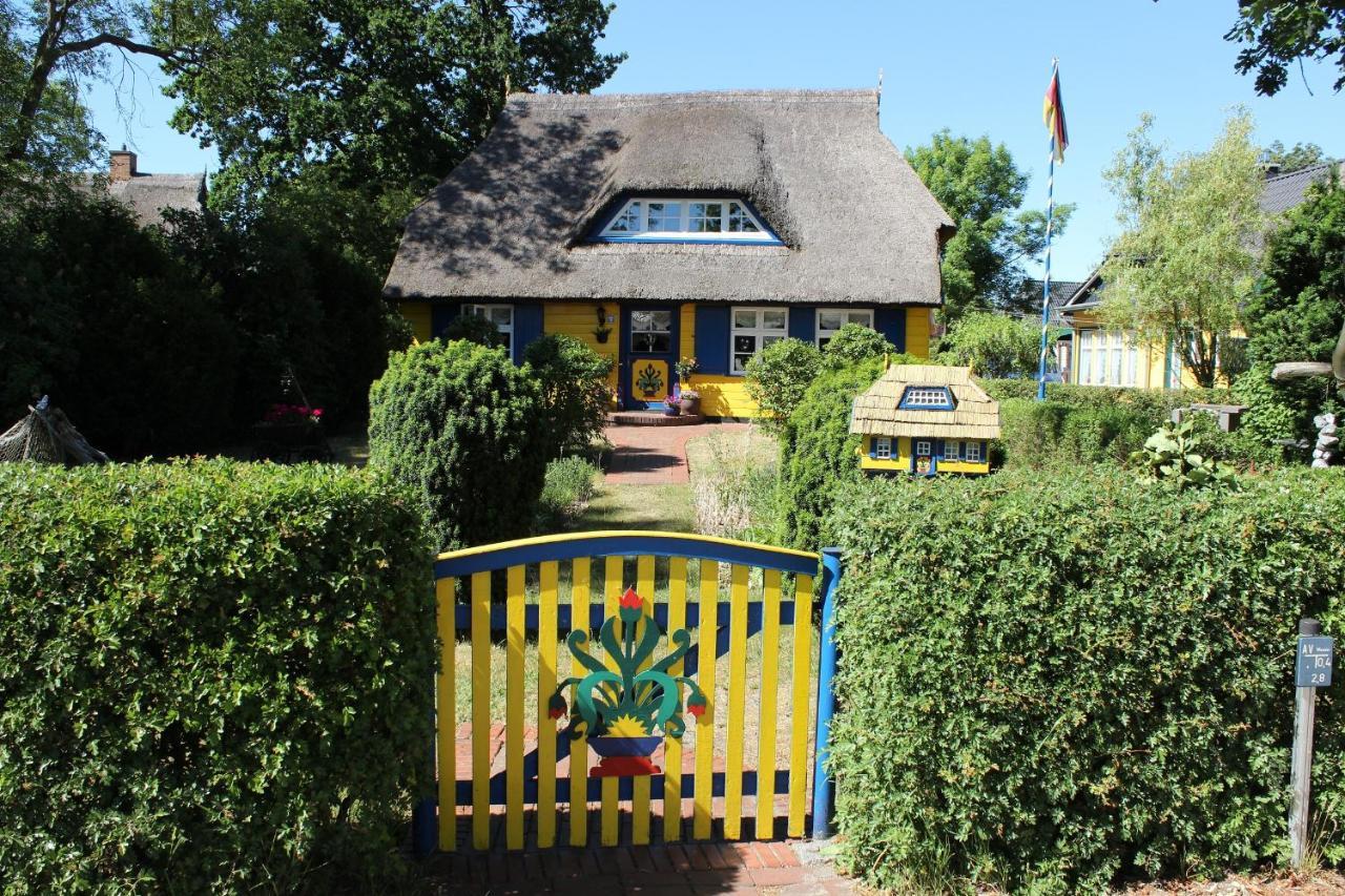 Strandstr_51 Wohnung 9 Zingst Esterno foto
